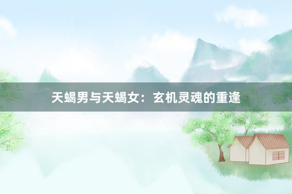 天蝎男与天蝎女：玄机灵魂的重逢